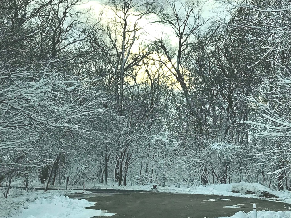 Snow scene in Galena Territory, Illinois 